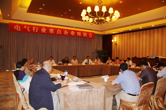 人民电器,人民电器集团,中国人民电器集团